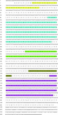 Identification and Allelic Variants Associated With Cold Tolerance of PmPIAS in Pinctada fucata martensii